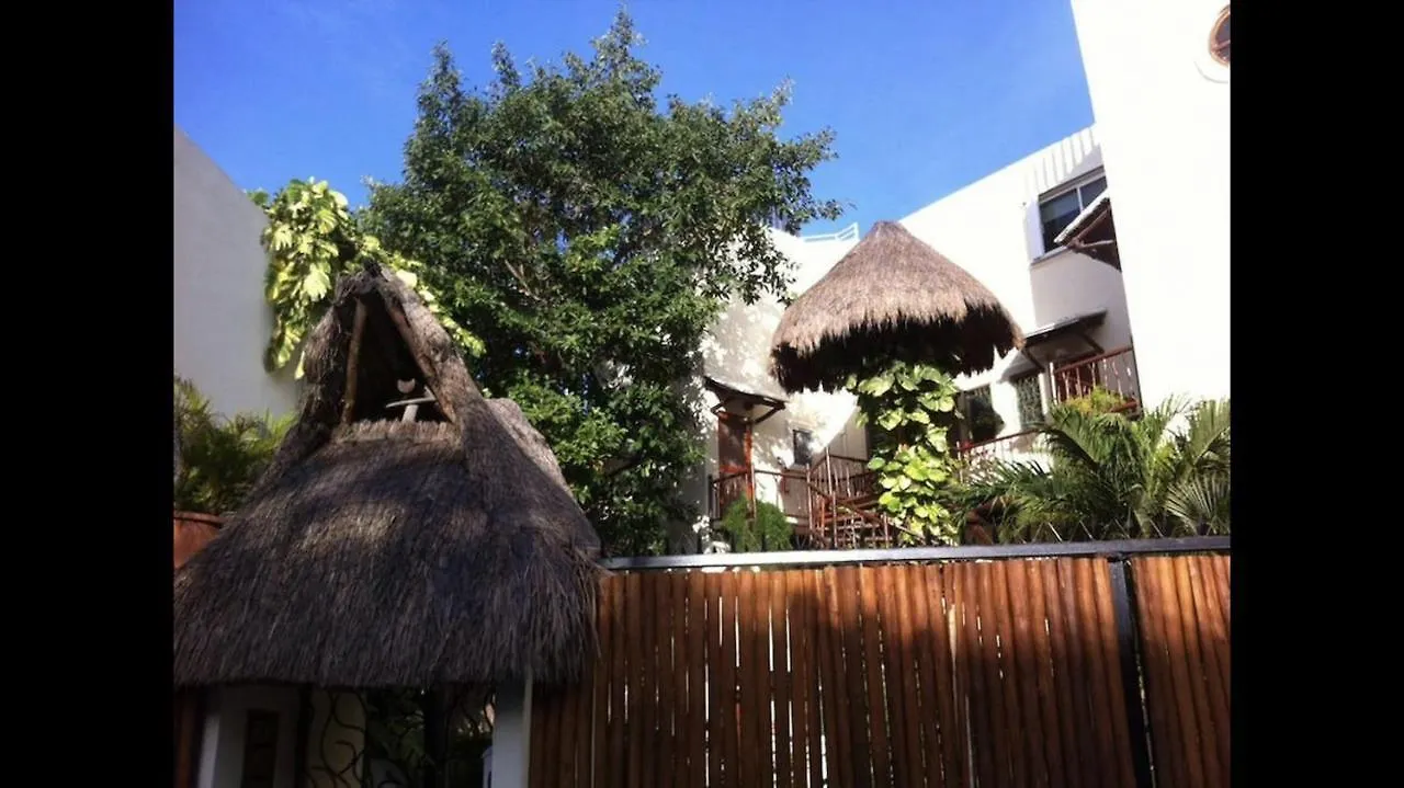 Apartment Las Brujas 8 Playa del Carmen 0*,  Meksyk